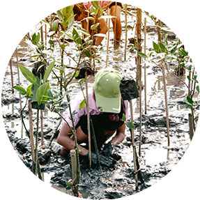 กล้าเปื้อนเพื่อเปลี่ยนสิ่งแวดล้อม 