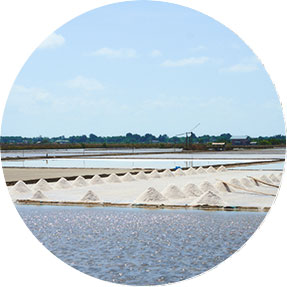 กล้าเปื้อนเพื่อเปลี่ยนชุมชน 