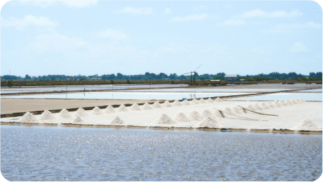 ทำนาเกลือ สมุทรสาคร