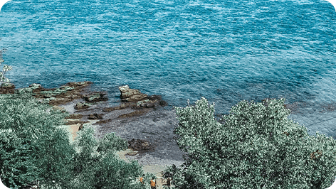 ฟื้นฟูระบบนิเวศท้องทะเล